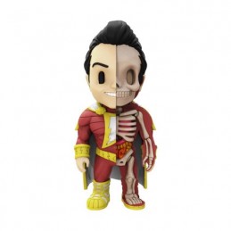 DC Comics Shazam X-Ray par Jason Freeny