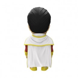 Figuren Mighty Jaxx DC Comics Shazam X-Ray von Jason Freeny Genf Shop Schweiz