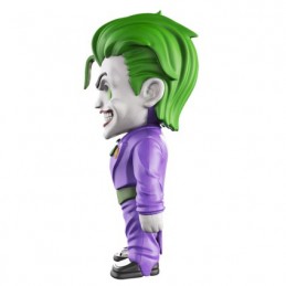 Figuren Mighty Jaxx 4D XXRAY 25 cm DC Comics Joker X-Ray Model Kit von Jason Freeny Genf Shop Schweiz