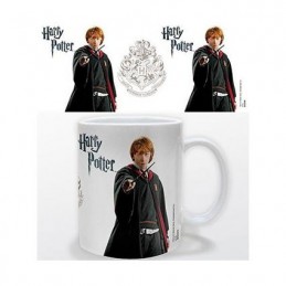 Figur Hole in the Wall Harry Potter Ron Weasley Mug Geneva Store Switzerland