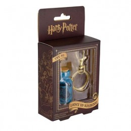 Harry Potter Light Up Keyring