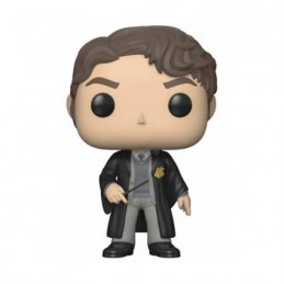 Pop Harry Potter Tom Riddle (Vaulted)