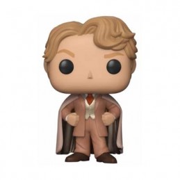 Pop Harry Potter Gilderoy Lockhart (Selten)