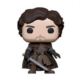 Figuren Pop Game of Thrones Robb Stark mit Sword Funko Genf Shop Schweiz
