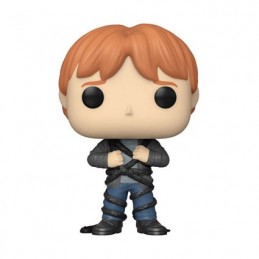 Figuren Funko Pop Harry Potter Ron in Devil's Snare Genf Shop Schweiz