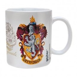 Figurine Hole in the Wall Tasse Harry Potter Gryffindor Boutique Geneve Suisse