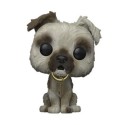 Figurine Pop Floqué Pirates des Caraibes Dog Edition Limitée Funko Boutique Geneve Suisse