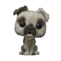 Figurine Funko Pop Floqué Pirates des Caraibes Dog Edition Limitée Boutique Geneve Suisse