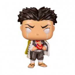 Figuren Funko Pop Demon Slayer Gyomei Himejima Chase Limitierte Auflage Genf Shop Schweiz