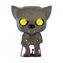 Pop Ansteck-Pin Harry Potter Remus Lupin