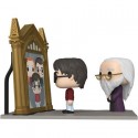 Figuren Funko Pop Movie Moment Harry Potter Mirror of Erised Limitierte Auflage Genf Shop Schweiz