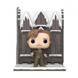 Figuren Pop Deluxe Harry Potter Shrieking Shack mit Lupin Funko Genf Shop Schweiz