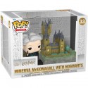 Figuren Pop Town Harry Potter Chamber of Secrets Geburtstag Minerva mit Hogwarts Funko Genf Shop Schweiz