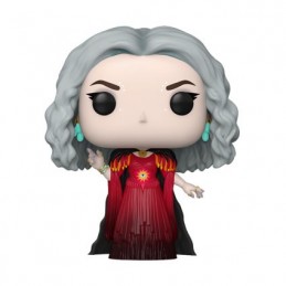 Figurine Funko Pop Hocus Pocus 2 The Witch Mother Edition Limitée Boutique Geneve Suisse