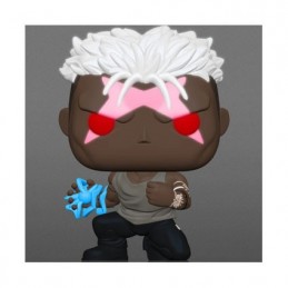 Figur Funko Pop Glow in the Dark Fullmetal Alchemist Brotherhood Scar Limited Edition Geneva Store Switzerland