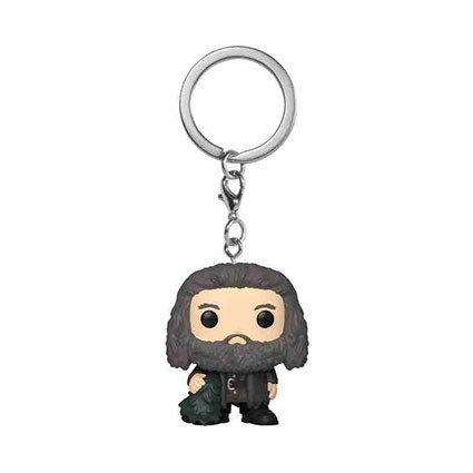 Figurine Funko Pop Pocket Porte-clés Harry Potter Rubeus Hagrid Edition Limitée Boutique Geneve Suisse