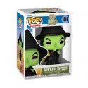 Figurine Funko Pop Le Magicien d'Oz The Wicked Witch Boutique Geneve Suisse