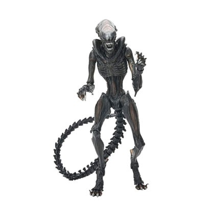 Figurine Neca Alien Romulus Ultimate Scorched Xenomorph Boutique Geneve Suisse Figurine Neca Alien Romulus Ultimate Scorched Xenomorph Boutique Geneve Suisse