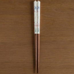 Figur Skater Studio Ghibli Lacquered Chopsticks Sketches My Neighbor Totoro Cherry Tree Geneva Store Switzerland