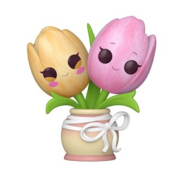 Pop Flora Tulip