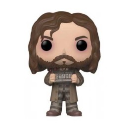 Figurine Funko Pop Sirius Black Azkaban Prison Edition Limitée Boutique Geneve Suisse