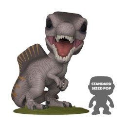 Figuren Funko Pop 25 cm Jurassic World Renaissance Spinosaurus Genf Shop Schweiz