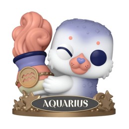 Figuren Funko Pop Zodiac Aquarius Januar Genf Shop Schweiz