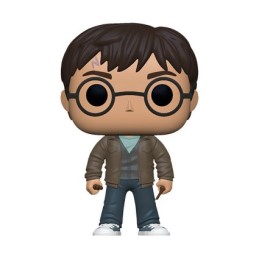 Figuren Funko Pop Harry Potter with Two Wands Limitierte Auflage Genf Shop Schweiz