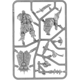 Figur Games Workshop Warhammer Age of Sigmar Maggotkin of Nurgel Lord of Blights Geneva Store Switzerland