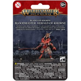 Figuren Games Workshop Warhammer Age of Sigmar Blades of Khorne Bloodmaster Herald des Khorne Genf Shop Schweiz