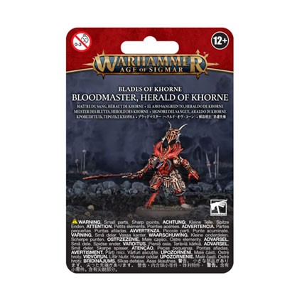 Figur Games Workshop Warhammer Age of Sigmar Blades of Khorne Bloodmaster Herald of Khorne Geneva Store Switzerland