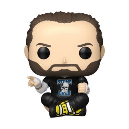 Pop Catch WWE CM Punk