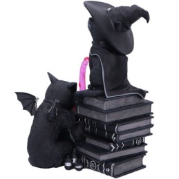Figuren Nemesis Now Cult Cuties Figur Curious Cauldron Genf Shop Schweiz
