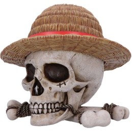 Figurine Nemesis Now One Piece Boîte de Rangement Luffy Jolly Roger Boutique Geneve Suisse