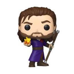 Figuren Funko Pop Baldur's Gate 3 Gale Genf Shop Schweiz