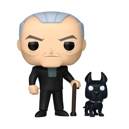 Figurine Funko Pop Batman la Relève Bruce Wayne et Ace Edition Limitée Boutique Geneve Suisse