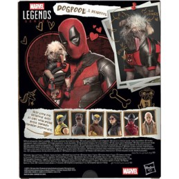 Figur Hasbro Deadpool and Wolverine Dogpool and Deadpool Geneva Store Switzerland