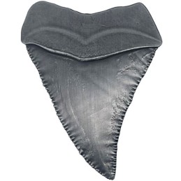 Figur FaNaTtiK Jaws médaillon 50th Anniversary Shark Tooth Limited Edition Geneva Store Switzerland