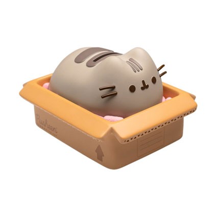 Figurine Grupo Erik Pusheen Tirelire Boutique Geneve Suisse