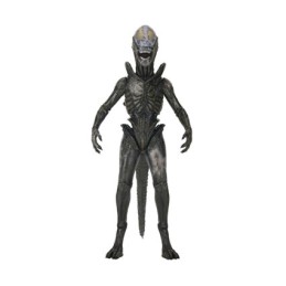 Alien Earth Ultimate...