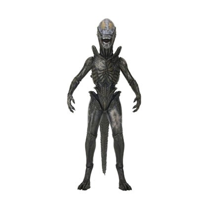 Alien Earth Ultimate Wendy's Xenomorph