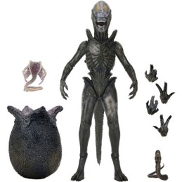Figurine Neca Alien Earth Ultimate Wendy's Xenomorph Boutique Geneve Suisse