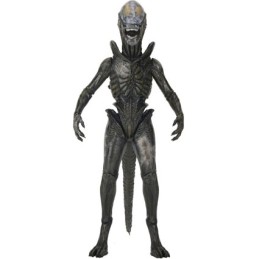 Figurine Neca Alien Earth Ultimate Wendy's Xenomorph Boutique Geneve Suisse