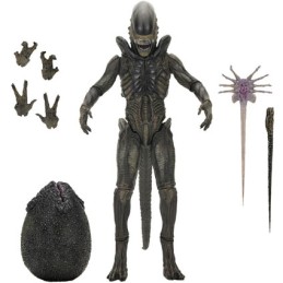 Figurine Neca Alien Earth Ultimate Xenomorph Boutique Geneve Suisse