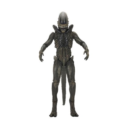 Alien Earth Ultimate Xenomorph
