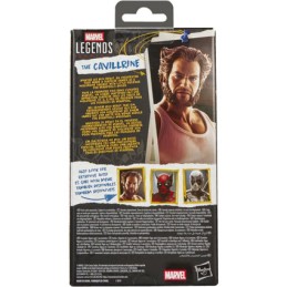 Figuren Hasbro Deadpool und Wolverine Marvel Legends The Cavillrine Genf Shop Schweiz