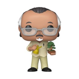 Pop Karaté Kid Mr. Miyagi