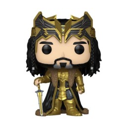 Figurine Funko Pop The Hobbit Thorin Oakenshield Boutique Geneve Suisse